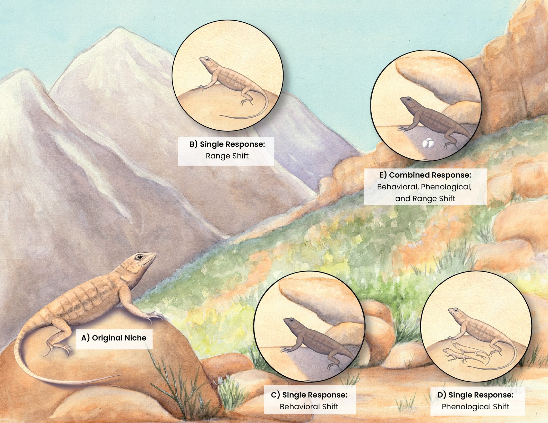 Chasing the Niche: Escaping Climate Change Threats in Place, Time, and Space