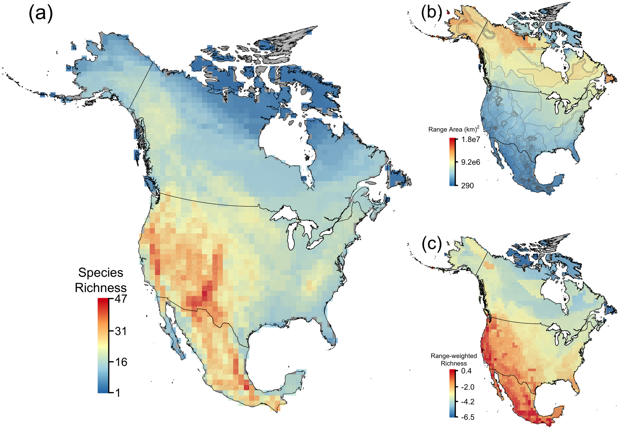 Multi dimensional biodiversity hotspots and the future of taxonomic, ecological and phylogenetic diversity: A case study of North American rodents