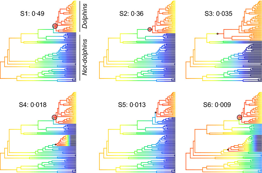 scp BAMM scp tools: an R package for the analysis of evolutionary dynamics on phylogenetic trees