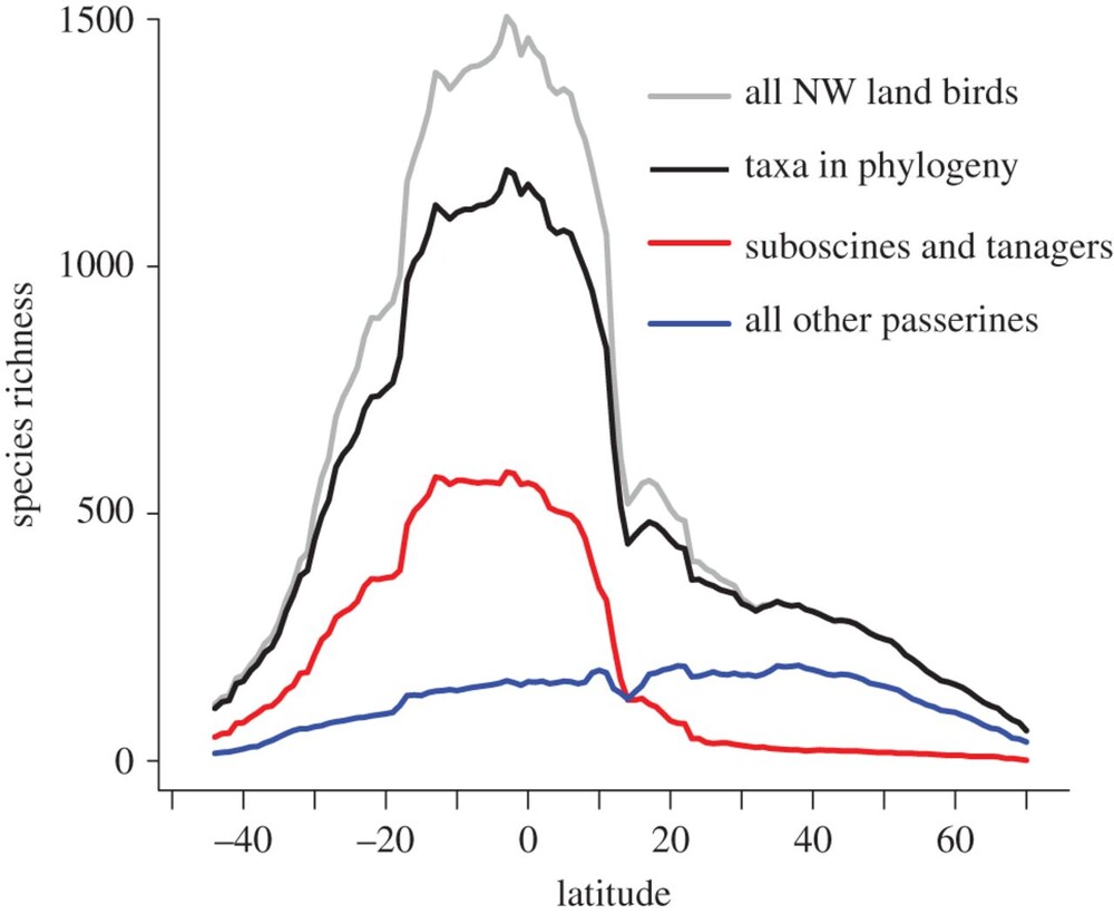 Minimal effects of latitude on present-day speciation rates in New World birds