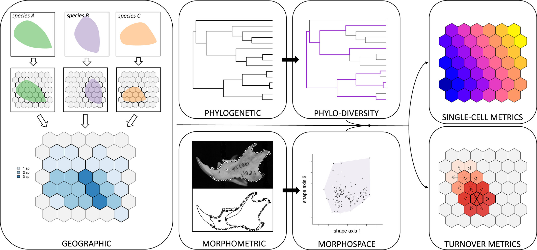 scp EcoPhyloMapper scp : An scp r scp package for integrating geographical ranges, phylogeny and morphology