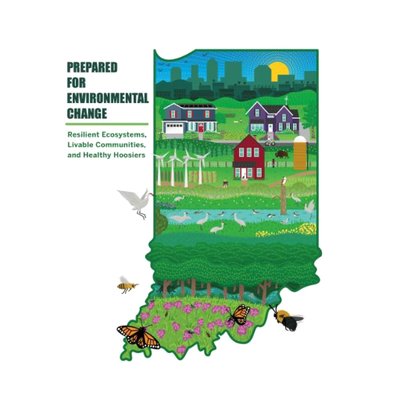 What fosters the success of a transdisciplinary environmental research institute Reflections from an interdisciplinary research cohort