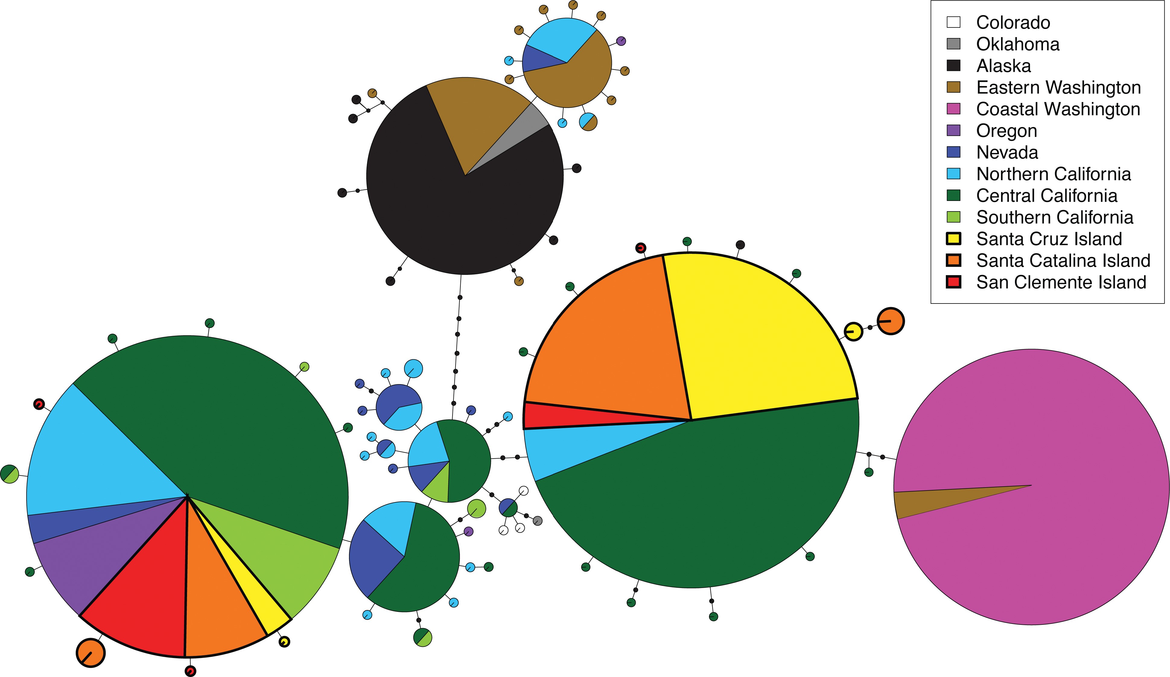 Genetic variation among western populations of the Horned Lark i Eremophila alpestris i indicates recent colonization of the Channel Islands off southern California, mainland-bound dispersal, and postglacial range shifts