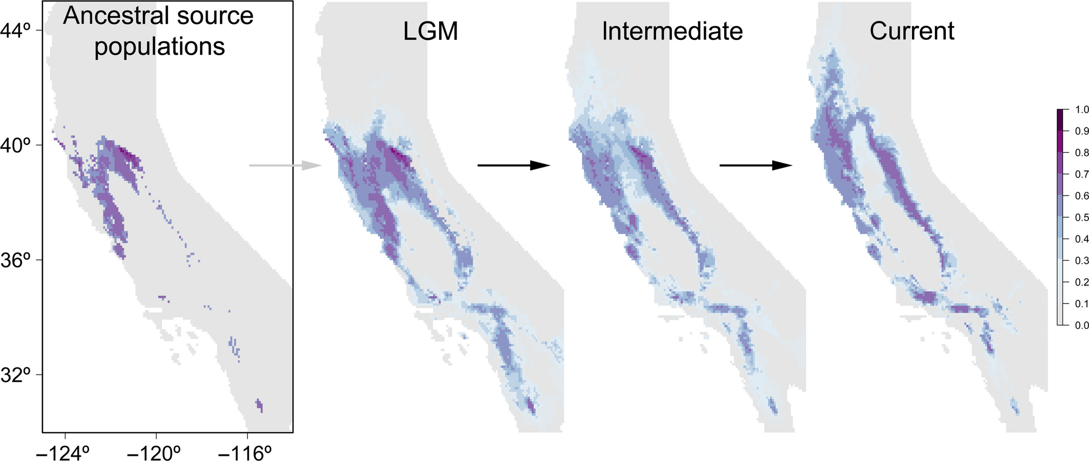 Tests of species specific models reveal the importance of drought in postglacial range shifts of a Mediterranean climate tree: insights from integrative distributional, demographic and coalescent modelling and scp ABC scp model selection